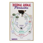 Ward's Internal Animal Parasites Poster
